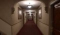 The Shining