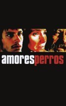 Amores perros