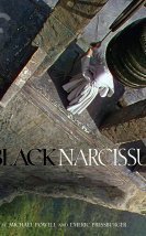 Black Narcissus