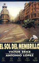 El Sol Del Membrillo