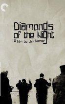 Démanty Noci