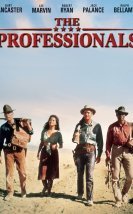 The Professionals