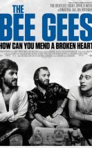 The Bee Gees: How Can You Mend a Broken Heart