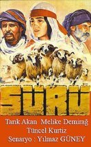 Sürü