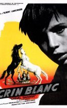 Crin Blanc: Le Cheval Sauvage