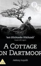 A Cottage on Dartmoor
