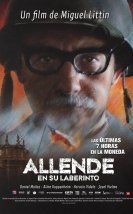 Allende En Su Laberinto