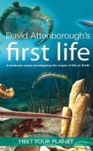 First Life