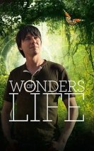 Wonders of Life