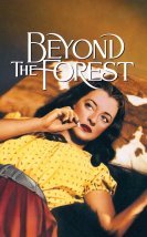 Beyond the Forest