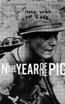 In the Year of the Pig