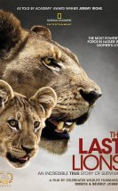 The Last Lions