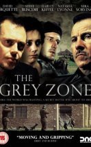 The Grey Zone