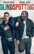 Blindspotting