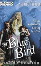 The Blue Bird