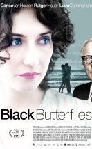 Black Butterflies