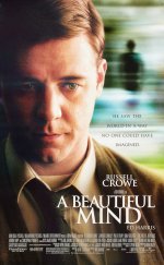 A Beautiful Mind