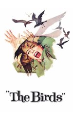 The Birds