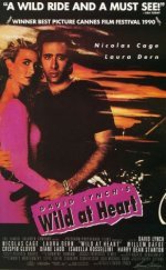 Wild at Heart