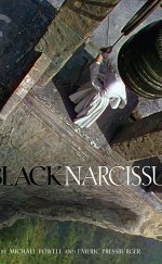 Black Narcissus