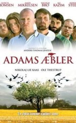 Adams æbler