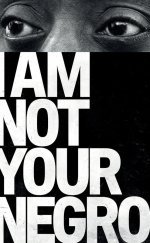 I Am Not Your Negro