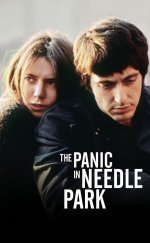 The Panic in Needle Park