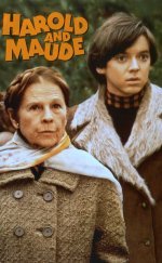 Harold and Maude