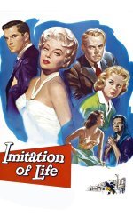 Imitation of Life