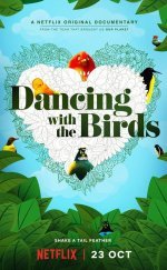 Dancing with the Birds
