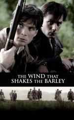 The Wind That Shakes the Barley