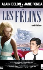 Les Felins