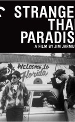 Stranger Than Paradise