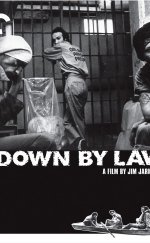 Down by Law