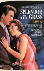 Splendor in the Grass