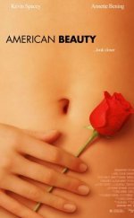 American Beauty