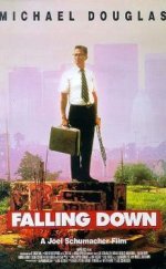 Falling Down