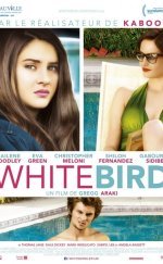 White Bird in a Blizzard