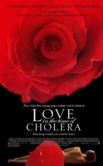 Love in the Time of Cholera