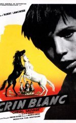 Crin Blanc: Le Cheval Sauvage