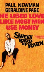 Sweet Bird of Youth