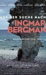 Auf der Suche nach Ingmar Bergman