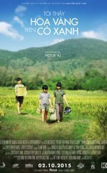 Tôi Thay Hoa Vàng Trên Co Xanh