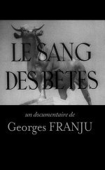 Le Sang Des Bêtes