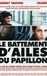 Le Battement D’ailes du Papillon