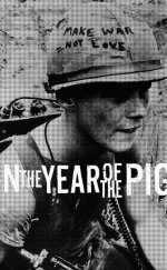 In the Year of the Pig
