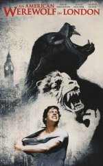 An American Werewolf in London