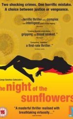 La noche de los girasoles
