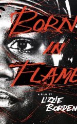 Born in Flames