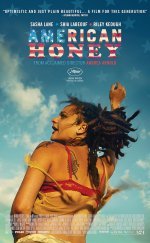 American Honey